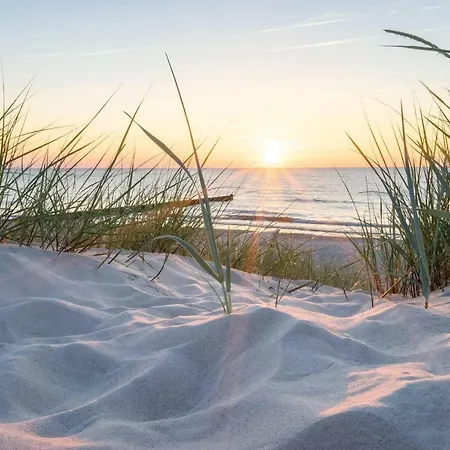 Apartment White Pearl 0.07 *