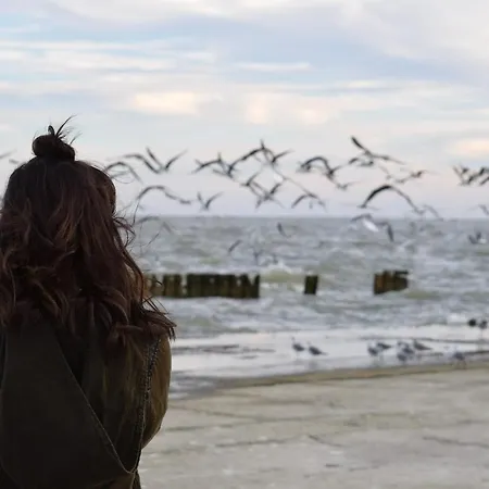 Apartment White Pearl 0.07