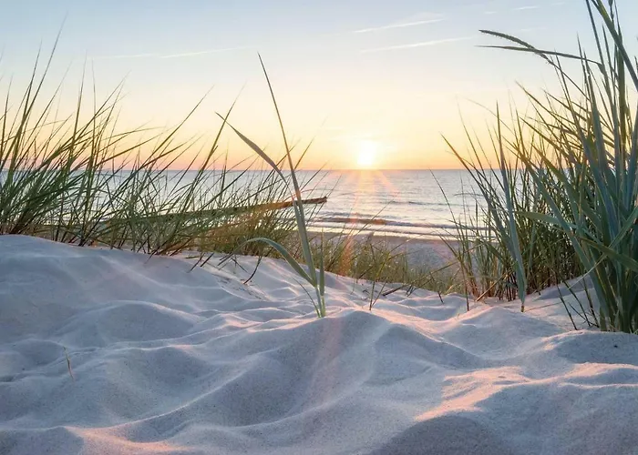 Apartment White Pearl 0.07 *