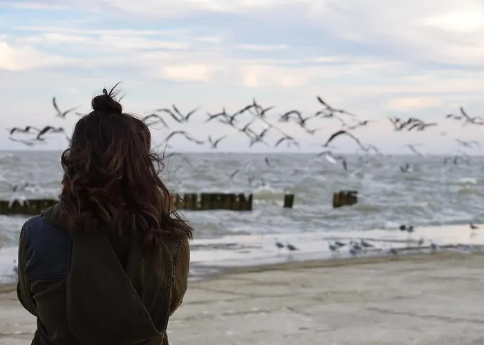 Apartment White Pearl 0.07